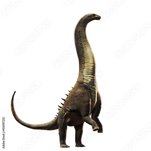 Fototapeta Naklejka Na Ścianę i Meble -  Titanosaurus, dinosaur from the Late Cretaceous period isolated on white background