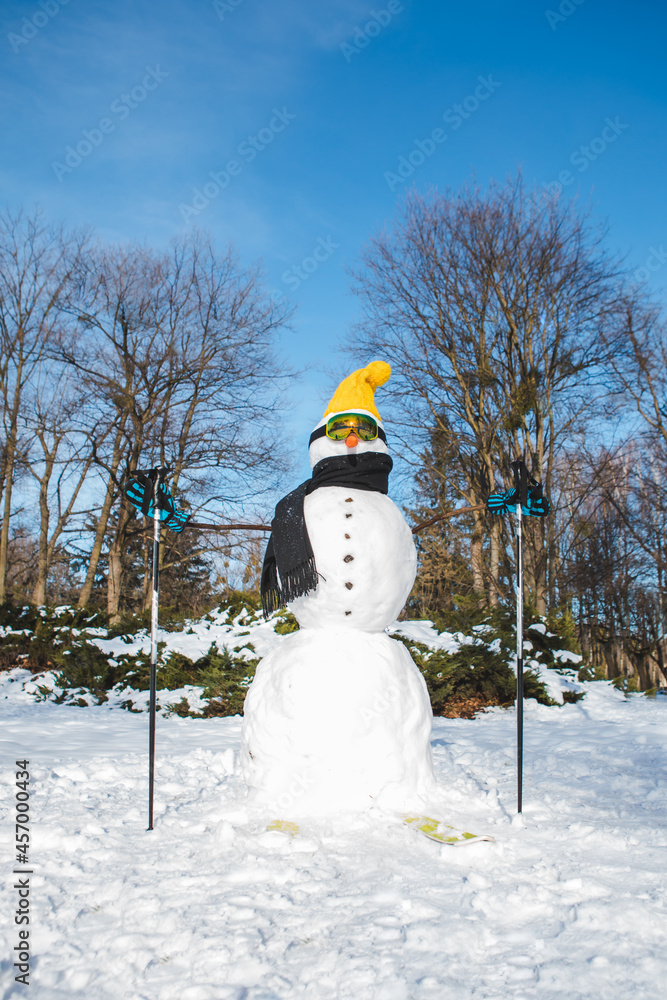 Obraz premium snow man with ski goggles