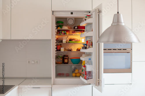 Open fridge in the kitchen. House organization. Modern interior.