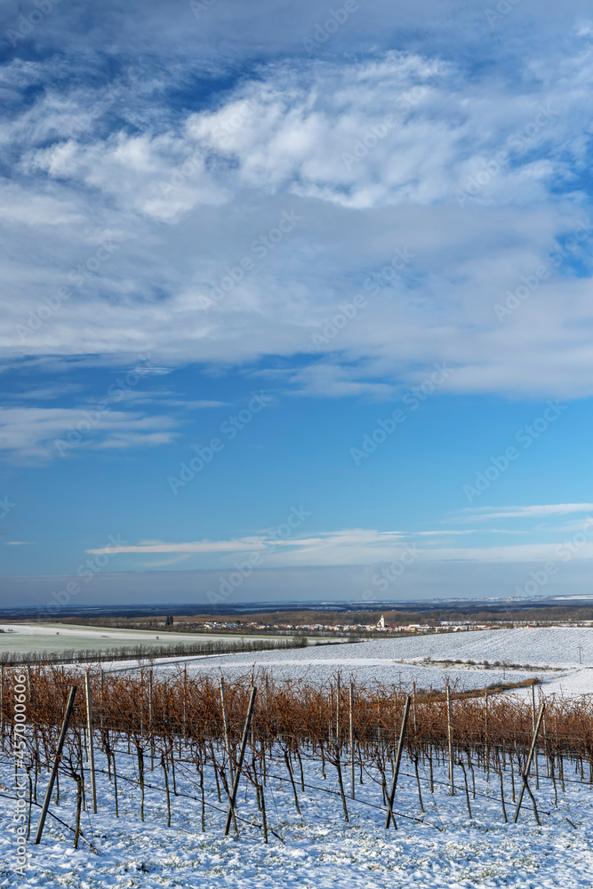 Winter landscape near Popice, Southern Moravia, Czech Republic