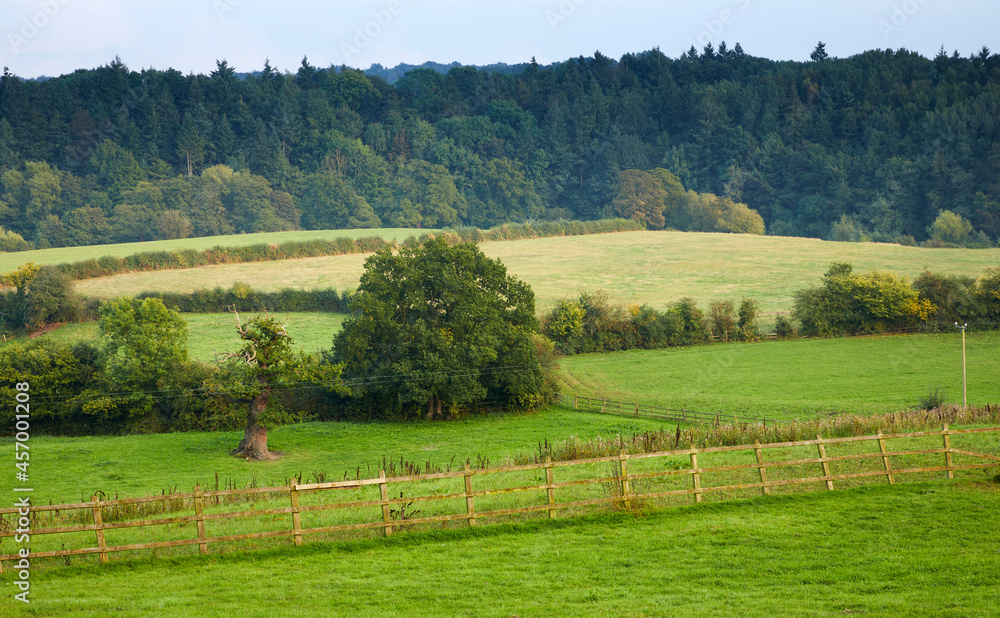 Obraz premium Saturation in the setting sun