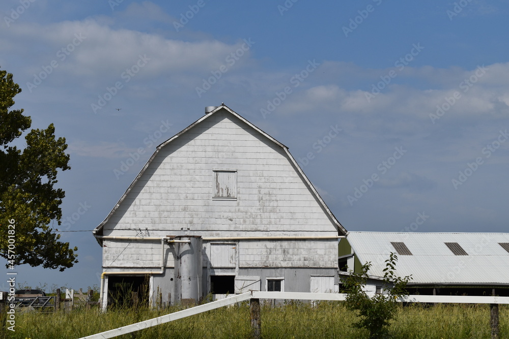 Barn
