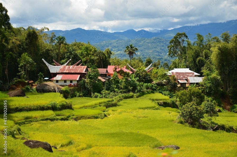 tongkonan houses at Toraja village in mountainous region of South Sulawesi, Indonesia