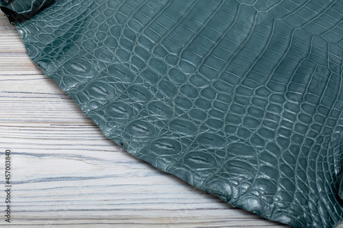 	
blue alligator natural leather - material for handbags and shoes	
