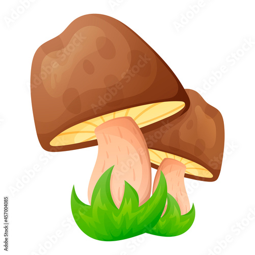 Vector cartoon isolated illustration of a bunch of two cartoon forest porcini mushrooms in the grass.