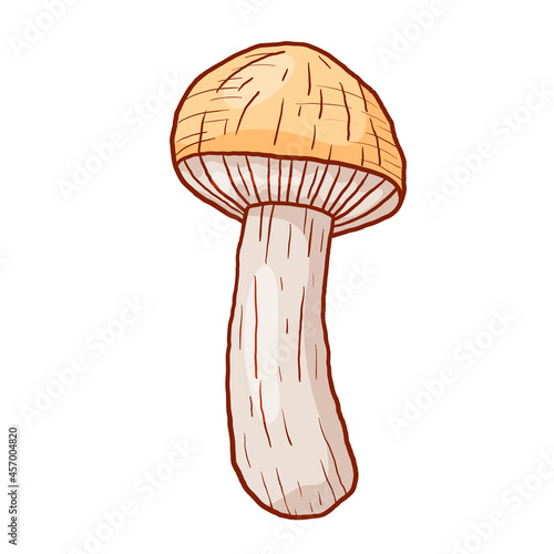 Vector isolated autumn doodle illustration of forest edible porcini mushroom in outline style.