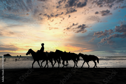 Man riding a horse while leading his horses along the seashore on the beach at sunset. Tourism concept.