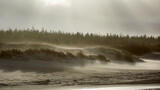 Sztorm na morzu bałtyckim, a na plaży piaskowe szaleństwo. Strumień piasku smaga po twarzy, silny wiatr unosi smugi pyłu i utrudnia spacer. Unoszone piasek i pył tworzą ciekawe kompozycje. 