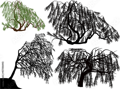 four weeping willows on white