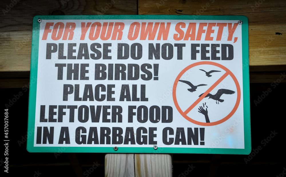 Please do not feed the bird signs
