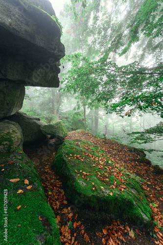 Waldstein im Fichtelgebirge in magischem Morgennebel