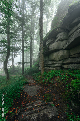 Waldstein im Fichtelgebirge in magischem Morgennebel
