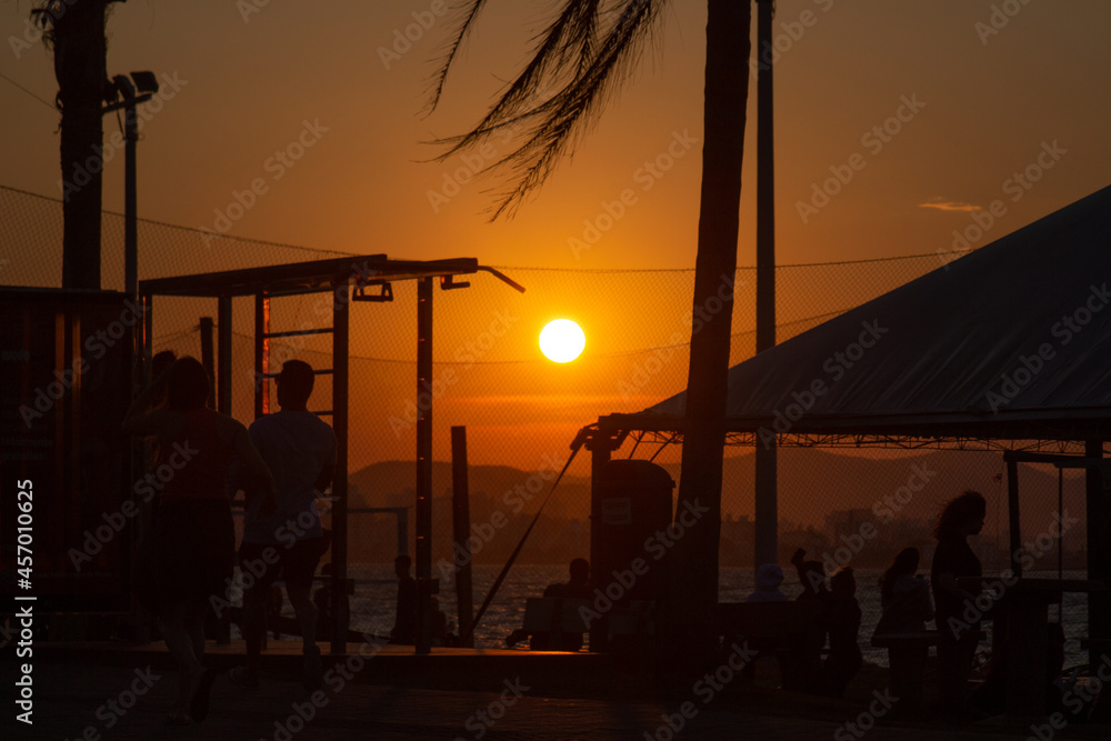 Fototapeta premium exercício ao por do sol com vento batendo nas folhas da arvore silhueta e sombra