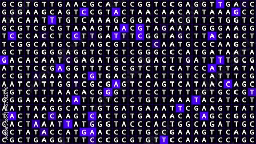 Loopable: Genetic mapping DNA sequence analysis abstract background with letters A,G,C,T in grid with blue squares. Big genomic data analysis concept.