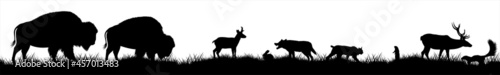Seamless panorama of the prarie with wolf, deer, pronghorn,  bobcat, skunk and brown zubr buffalo bisons
