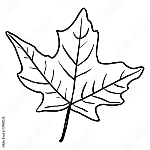 sheet. autumn. maple. leaf fall.