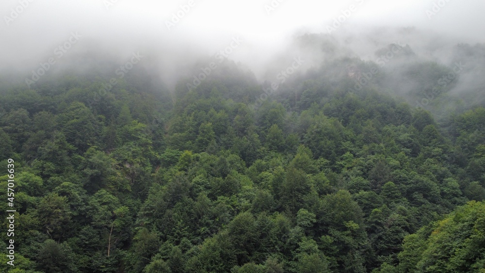 fog in the mountains fog in the mountains