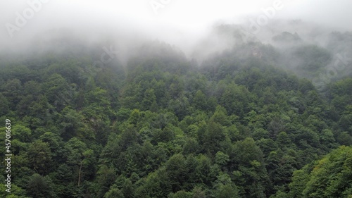 fog in the mountains