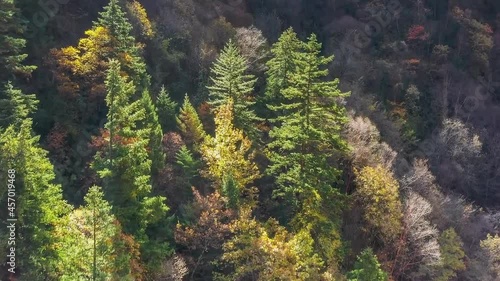 Mountain landscape, Jiuzhaigou National Park, Sichuan Province, China. Aerial view of the mountains covered with conifers. photo