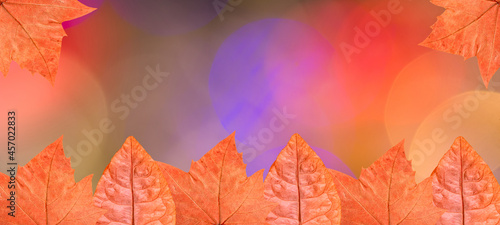 Colorful abstract background for the autumn season.