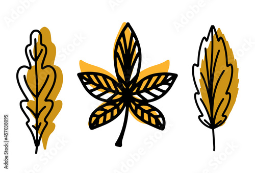 A collection of fallen autumn leaves of different shapes and colors. Autumn background, a poster with colorful leaves. Seasonal autumn elements for creating postcards, invitations. Cartoon flat style