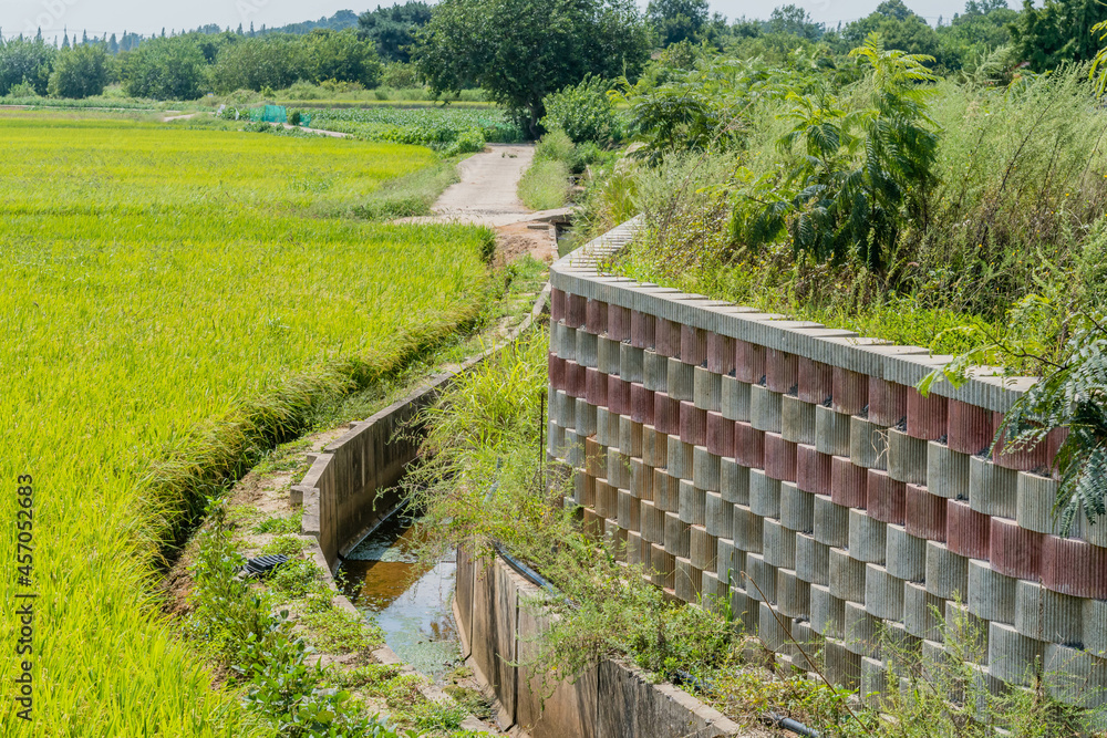 Man made irrigation ditch running along side rice paddy