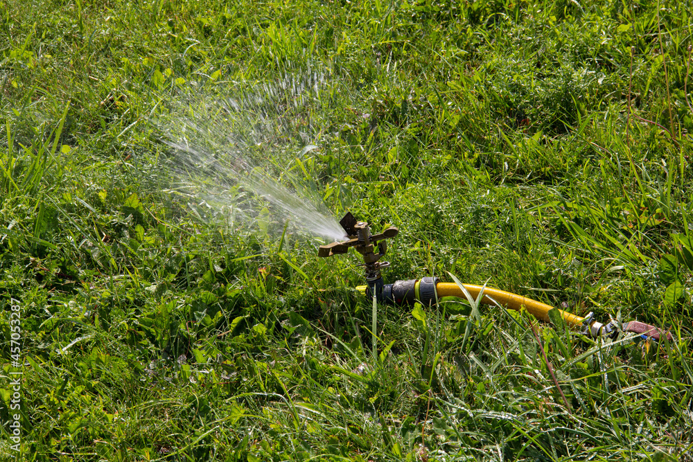 Naklejka premium Irrigation system on the lawn sprinkling water on a hot summer day.