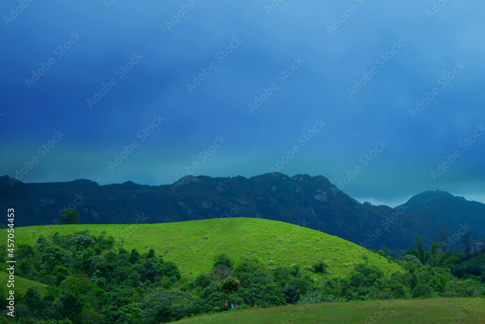 Grass filed and mountains 