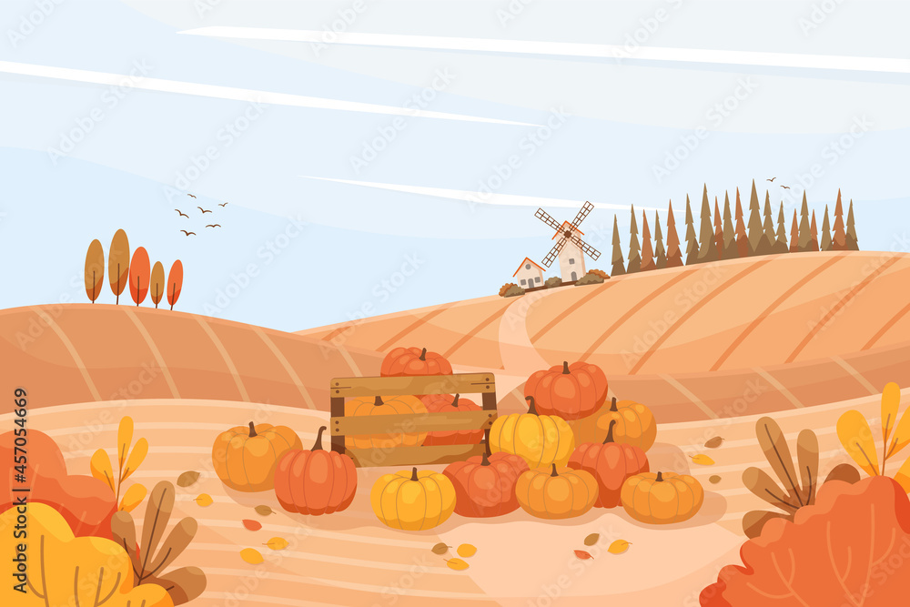 Rural autumn landscape with pumpkins. Hilly terrain, farm fields, trees, windmill, harvesting, pumpkins in the field. Harvest festival poster, pumpkin festival. Vector illustration.  - obrazy, fototapety, plakaty 