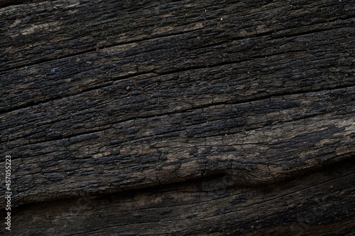 natural background  dark tree bark