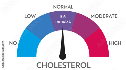 Cholesterol level meter indicator. Medical speedometer. Chat control concept presentation