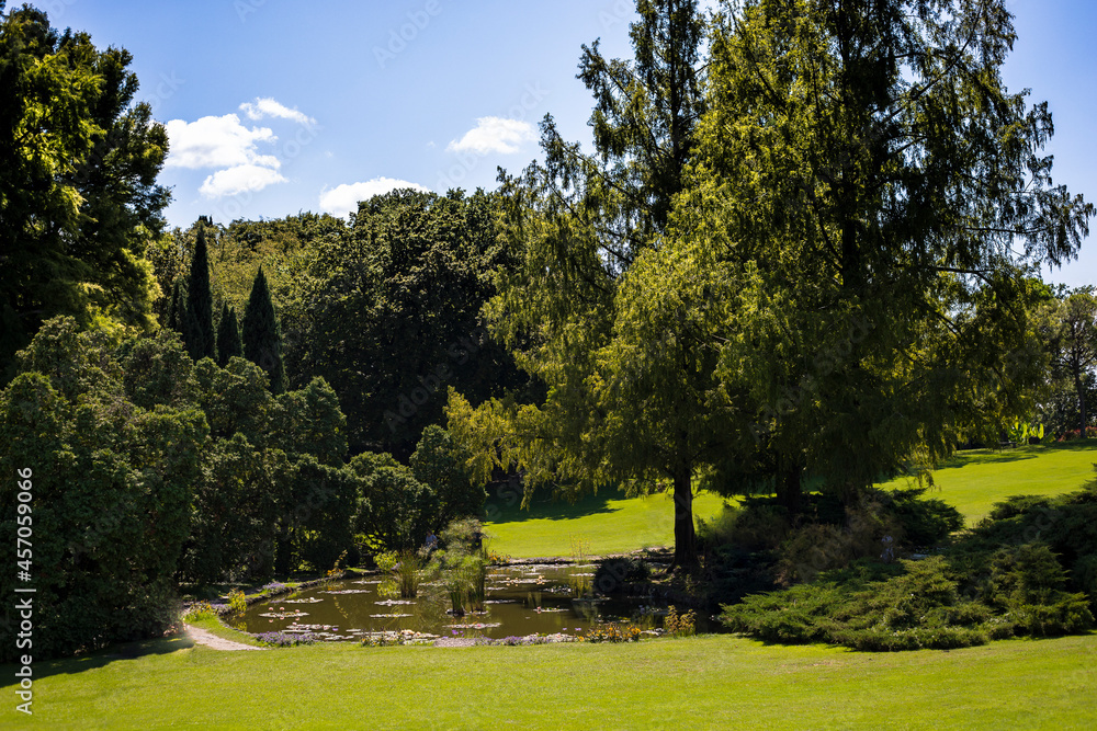 Naklejka premium Small pond with shady trees at Sigurtà Garden Park, Valeggio sul Mincio, Veneto, Italy.