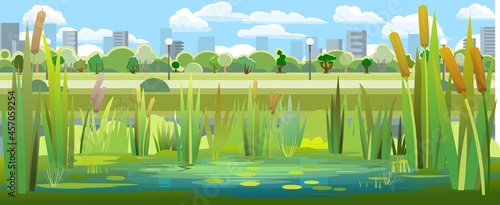 Landscape with a swampy shore of a lake or river. Coast is overgrown with grass, reeds and cattails. View of the city park. Water with water lily leaves. Wild pond. Vector