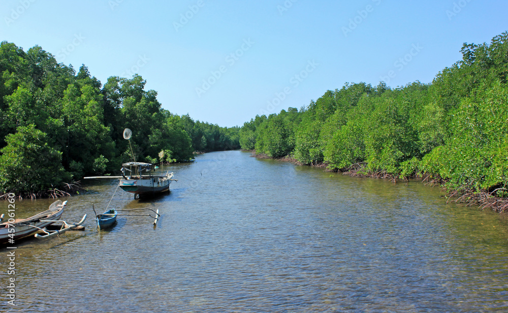 Mangrove forest in a river with the fishing boat or canoe 