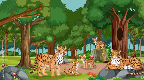 Tiger family in forest or rainforest scene with many trees