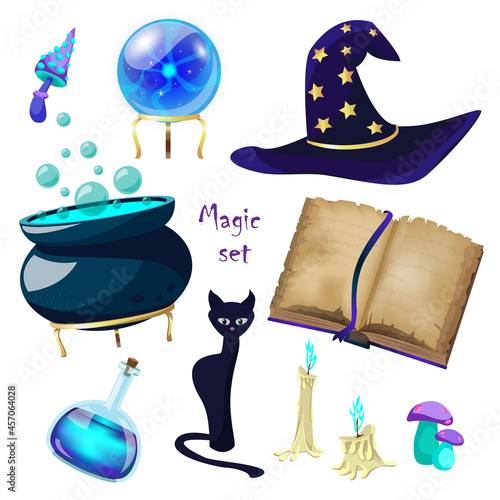 Magic set with fortune telling ball, black cat, spell book, mushrooms, cauldron of potion, candles, hat isolated on white background. Vector cartoon items for the witch.