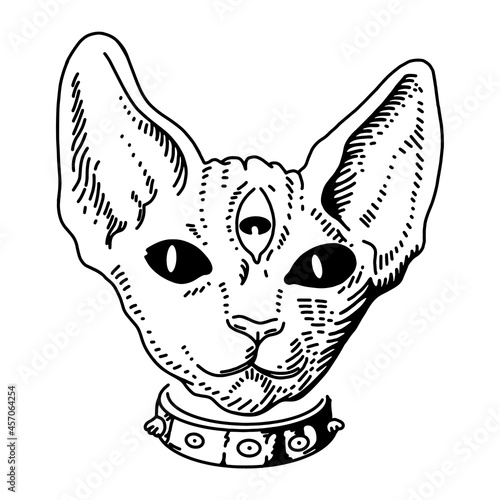 Tattoo Cat. Vector illustration art. Vintage engraving. Vintage style beautiful gothic cat. Traditional art tattoos. Mystic magic symbol. All seeing eye. Masonic symbol