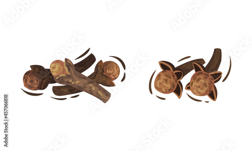 Dried Brown Cloves Condiment Isolated on White Background Vector Set © Happypictures