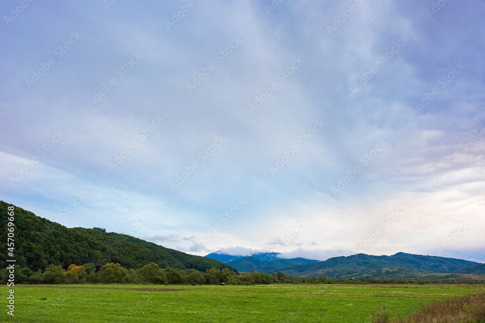 rural field in mountains at dawn. cloudy early autumn weather