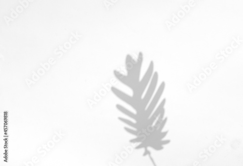 Palm leaves natural shadow overlay for summer on white texture background, for overlay on product presentation, backdrop and mockup