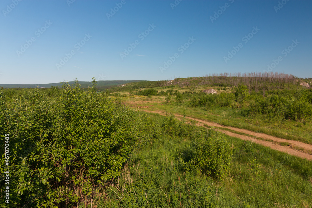 nature of the north of the Perm region