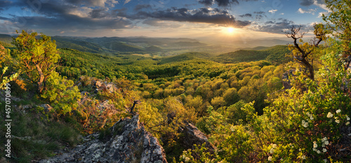 Fototapeta Naklejka Na Ścianę i Meble -  Green forest landscape from peak Zarnov, Slovakia