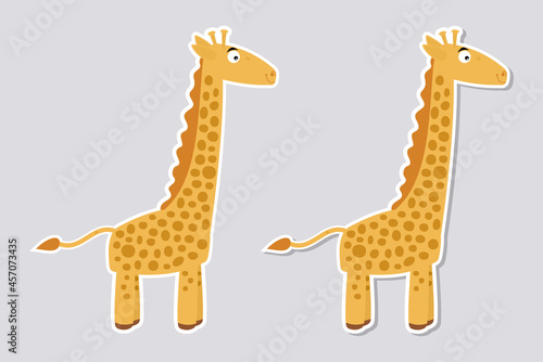 Giraffe of the zoological park on its profile with blond hair for sticker on gray background