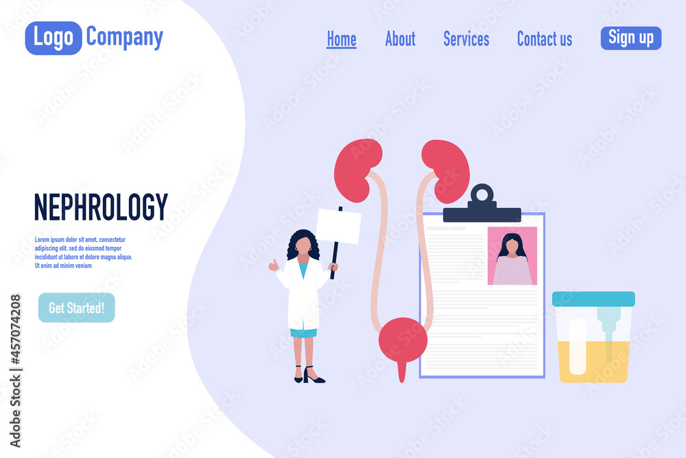 Nephrology, urology concept Nephrology, urology concept