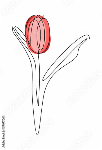 Tulip flower line continuous . Minimalist art. One line drawing