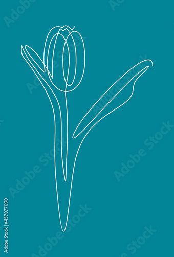 Tulip flower line continuous . Minimalist art. One line drawing