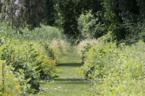 path in nature reserve 