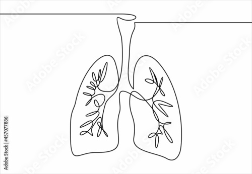 Lungs. Organ. Continuous line illustration