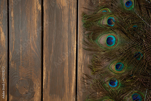 peafowl feather on wooden surface photo