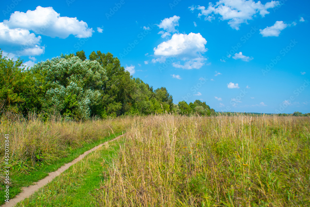 Summer field with a narrow path trodden by people. A path in a clearing with low grass Summer field with a narrow path trodden by people. A path in a clearing with low grass